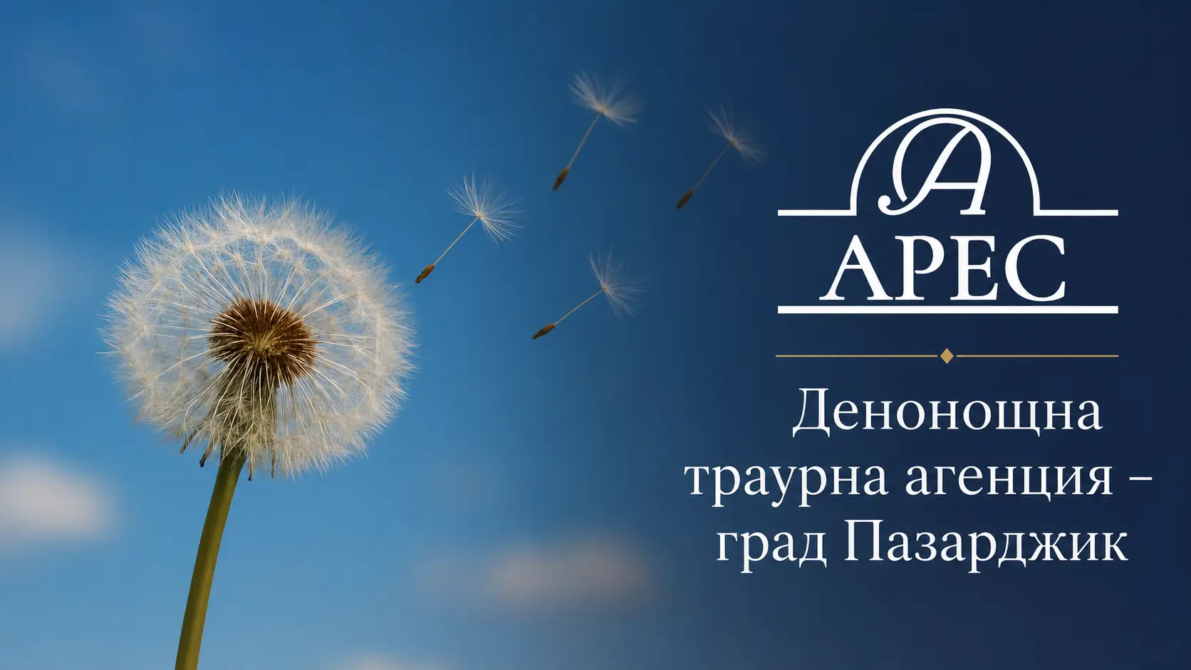 Organizarea înmormântării – liniște și sprijin într-un moment dificil Organizarea înmormântării – liniște și sprijin într-un moment dificil